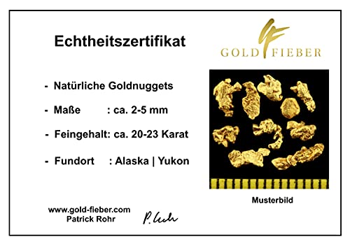 10 Stück echte XL Premium Goldnuggets aus Alaska mit 2-5 mm inkl. Echtheitszertifikat Super Geschenk - Geschenkapp
