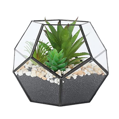 Asvert Geometrische dekorative Terrarium Cube geneigte Klarglas Pflanzer Tischplatte schwarz kleine Air Plant Halter Display Box saftige Moos Blumentopf Container (style8)