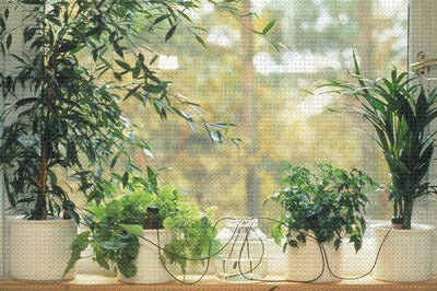 Blumat 125-00 Bewässerung für Pflanzen, Pflanzenbewässerung Wasserspender (10 Stück) - Geschenkapp