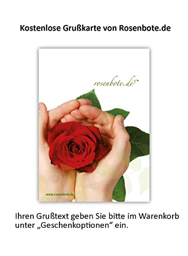 Bunter Blumenstrauß - 15 Rosen und Schleierkraut - Bumo - Strauß inklusive Grußkarte # Geburtstag # Freundschaft