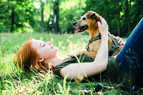 DOKAS Getreidefreier Premium Snack in Streifen für Hunde – Aus Entenbrustfilet - Geschenkapp