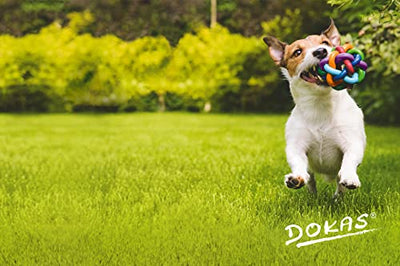 DOKAS Getreidefreier Premium Snack in Streifen für Hunde – Aus Entenbrustfilet - Geschenkapp