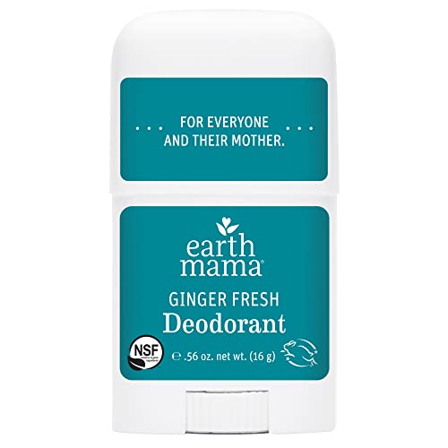 Earth Mama Angel Baby A Little Something for Mama-to-Be, 1er Pack (1 x 268 g) - Geschenkapp