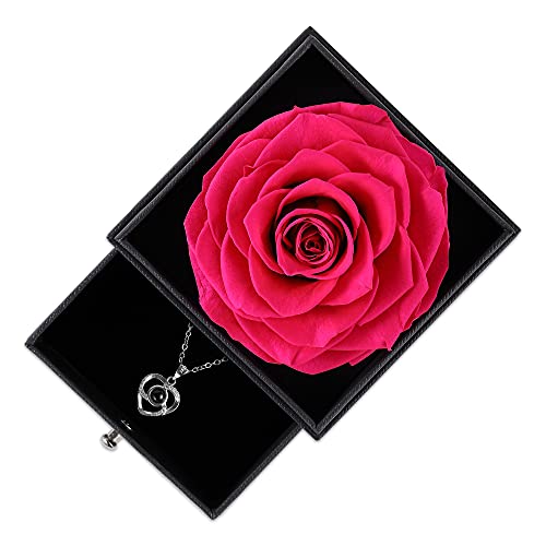 Echte Rose mit Ich Liebe Dich Halskette in 100 Sprachen Geschenke für ihre Mutter Frauen Frau Geschenk für Freundin Geburtstag, (Hot Rosa) - Geschenkapp