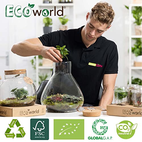 Ecoworld Fleischfressende Pflanzen DIY Flaschengarten Set - Set Mini Pflanzen: 3 Fleischfressende Pflanzen - Substrat - Erde - Moos - Geschenkapp