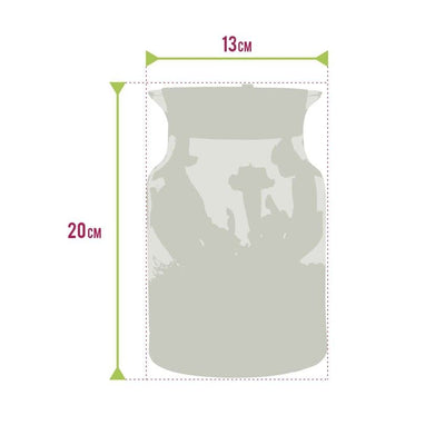 Ecoworld Jungle Corky Glas - Flaschengarten mit Lampe - Mini Pflanzen Terrarium - Ökosystem im Glas Set mit Farne - Glas: Ø 13 cm, Höhe 20 cm - Grünpflanzen aus eigener Gärtnerei - Geschenkapp