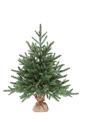 eveXmas 60cm Künstlicher Weihnachtsbaum, Tannenbaum Infinity Natürlich Grün, 59 Zweige 100% PE-Spitzen, inkl. Dekorativer Ständer im Sackleinen - Geschenkapp