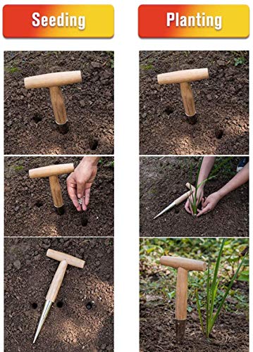 Gardtech Traditionelle Gartengeräte, Pikierstab für die Hand, leichtes Gewicht, Holzgriff - Geschenkapp