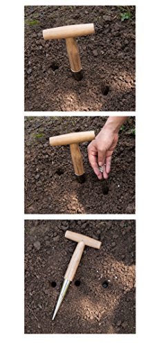 Gardtech Traditionelle Gartengeräte, Pikierstab für die Hand, leichtes Gewicht, Holzgriff - Geschenkapp