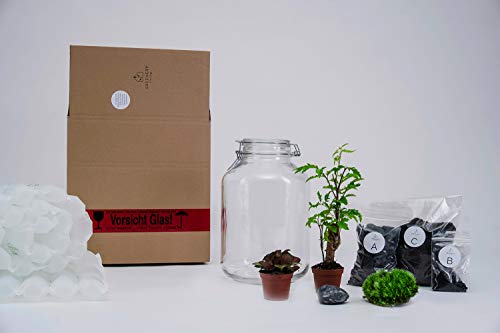 GreeneryLiving Premium DIY-Flaschengarten - JAR-1 - Ökosystem im Glas - hochwertiges Pflanzenterrarium - Mini-Garten mit echten Pflanzen - Design-Accessoire ideal als Geschenk - Handmade in Germany - Geschenkapp
