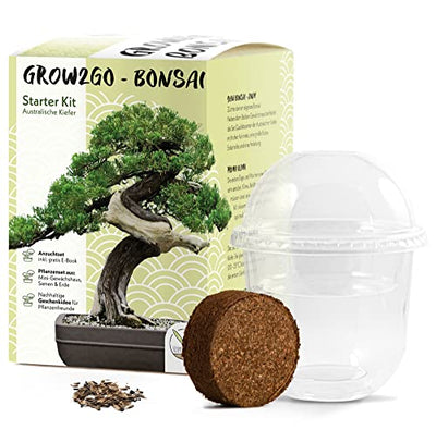 GROW2GO Bonsai Starter Kit Anzuchtset - Pflanzset aus Mini-Gewächshaus, Samen & Erde - nachhaltige Geschenkidee für Pflanzenfreunde (Australische Kiefer) - Geschenkapp