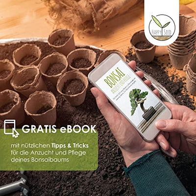 GROW2GO Bonsai Starter Kit Anzuchtset - Pflanzset aus Mini-Gewächshaus, Samen & Erde - nachhaltige Geschenkidee für Pflanzenfreunde (Tamarinde) - Geschenkapp