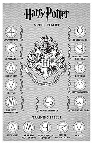 Harry Potter 73195 Harry Potters magischer Zauberstab mit Funktion, 38 cm, Braun, Hand/A - Geschenkapp