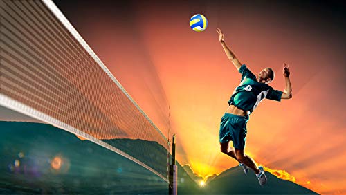 Highliving ® Volleyball aus synthetischem Leder, weich, für drinnen und draußen, Größe 5 - Geschenkapp