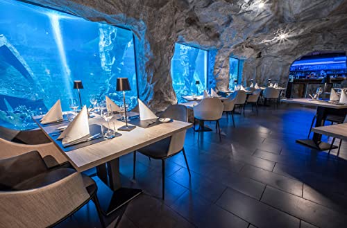 JOCHEN SCHWEIZER Geschenkgutschein: Gourmet-Menü im Unterwasser-Restaurant in Neuwied für 2 - Geschenkapp