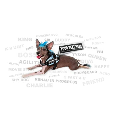 Julius K9 Hundegeschirr, Brustgeschirr reflektierend Hunde Geschirr mit personalisiertes Geschenk, benutzerdefinierter Klettsticker (S/Mini, Camouflage) - Geschenkapp