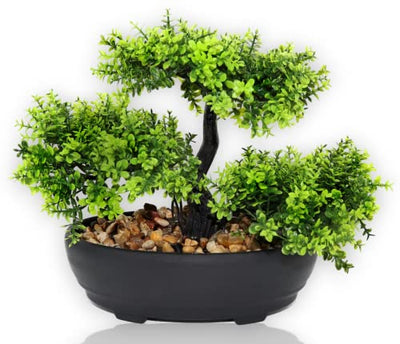 Kunstbonsai Bonsai-Kunstbaum - Künstlicher Buchsbaum Bonsai im Topf für Zuhause Büro Baddeko Desktop und als Geschenk Immergrün Bonsai-Kunstbaum - Geschenkapp