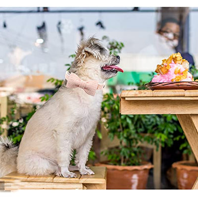 Lionheart glory Hundeschleifenhalsband Rosa Hundehalsbänder für Hündinnen Verstellbare weiche Hundehalsbänder mit Fliege, Haustierhalsbänder Fliege für kleine Hunde Geschenk - Geschenkapp