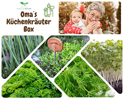 Magic of Nature Oma`s Küchenkräuter Box - Anzuchtset - 5 Sorten frische BIO Kräuter Samen - Zum Selberzüchten oder zum Verschenken - Geschenkapp