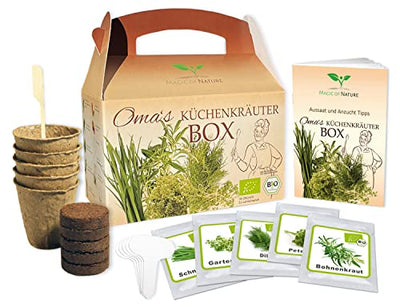 Magic of Nature Oma`s Küchenkräuter Box - Anzuchtset - 5 Sorten frische BIO Kräuter Samen - Zum Selberzüchten oder zum Verschenken - Geschenkapp