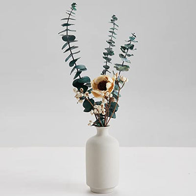 Natürliche getrocknete Blumen mit Vase aus Keramik, Dekoration für trockene Pflanzen, bestehend aus Eukalyptusblättern, weiße Mohnblume, weiße Früchte, ideal zur Dekoration des Zimmers - Geschenkapp
