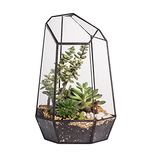 NCYP 16,5x16,5x25cm Glas Geometrisches Terrarium, unregelmäßiges Prisma,25 cm hoch Blumentopf für Sukkulenten, Farn, Moos (Ohne Pflanzen) - Geschenkapp