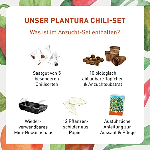 Plantura Chili-Anzuchtset, 5 Chili-Sorten, komplettes Set mit Mini-Gewächshaus, Geschenkidee - Geschenkapp