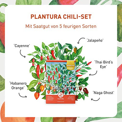 Plantura Chili-Anzuchtset, 5 Chili-Sorten, komplettes Set mit Mini-Gewächshaus, Geschenkidee - Geschenkapp