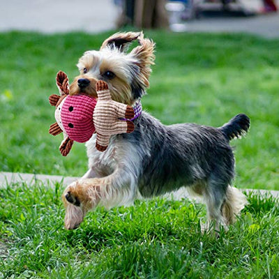 Toozey Hundespielzeug kleine Hunde - 7 Stück Welpenspielzeug kleine welpen - Langlebiges Kauspielzeug und Quietschspielzeug Intelligenz - Naturbaumwolle & Ungiftig - Geschenkapp