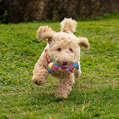 Toozey Hundespielzeug kleine Hunde - 7 Stück Welpenspielzeug kleine welpen - Langlebiges Kauspielzeug und Quietschspielzeug Intelligenz - Naturbaumwolle & Ungiftig - Geschenkapp