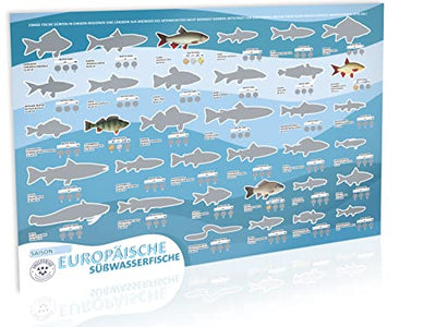 VAULTERIUS Angler Fischposter zum Rubbeln mit europäischen Süßwasserfischen (Deutsch) - Geschenkapp