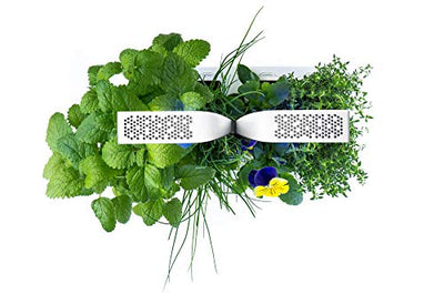 Véritable® Classic (Weiß) - Indoor-Garten Made in France - Intelligenter autonomer Garten mit 4 Lingots® - Geschenkapp