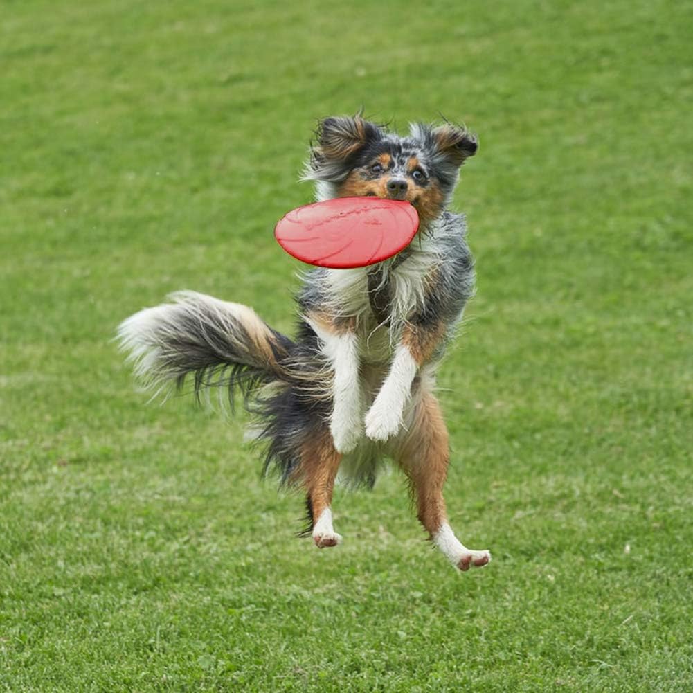 Vivifying Frisbee Hund, 2 Stück 18cm Hundefrisbee aus Natürlichem Kautschuk für Land und Wasser (Grün + Rot) - Geschenkapp