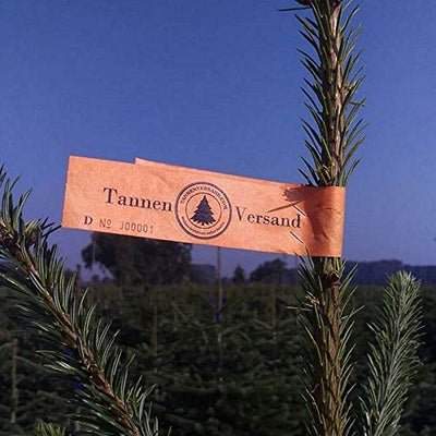 Weihnachtsbaum 150-175 cm Tannenbaum Christbaum Nordmanntanne geschlagen - Geschenkapp
