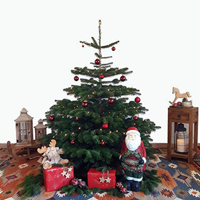 Weihnachtsbaum 150-175 cm Tannenbaum Christbaum Nordmanntanne geschlagen - Geschenkapp