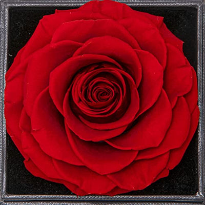 Yamonic Echte Rose mit Halskette, Freundin,Ewige Rose Geschenke für Frauen,Jahrestag Geschenk für sie,Liebe Dich für Immer,, Rot - Geschenkapp